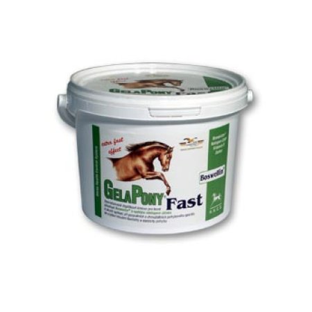 Gelapony Fast 600g