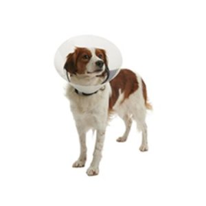 Límec ochranný BUSTER plastový Clic Collar 10cm