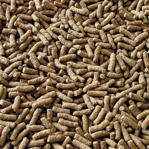 Sera Pond Sticks 21 l / 2,8 kg
