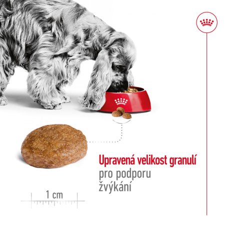 Royal Canin Medium Adult 7+ 4 kg