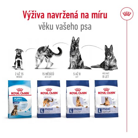 Royal Canin Maxi Adult 5+ 15 kg