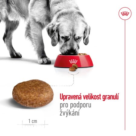 Royal Canin Maxi Adult 5+ 15 kg