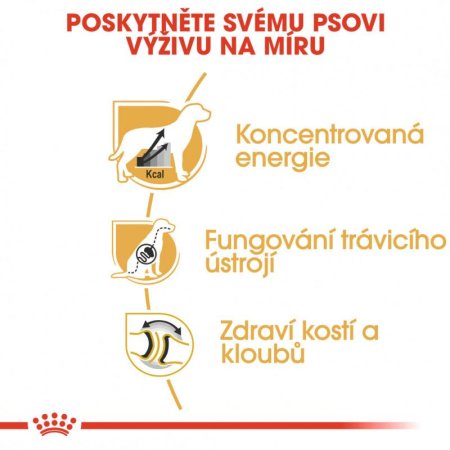 Royal Canin Německá Doga 12 kg