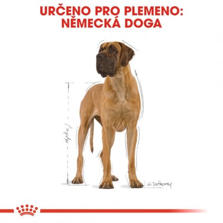 Royal Canin Německá Doga 12 kg