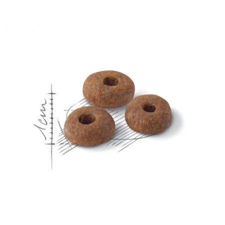 Royal Canin Fit 4 kg