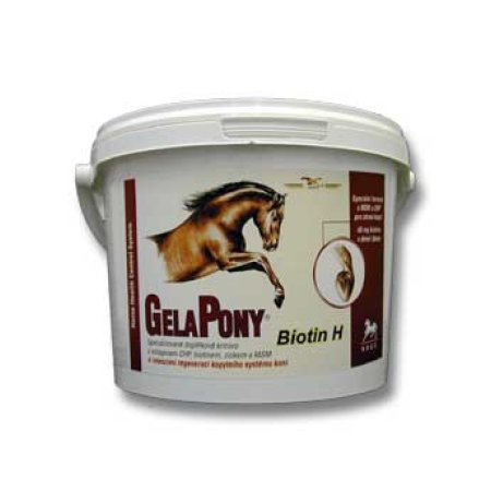 Gelapony Biotin 600g