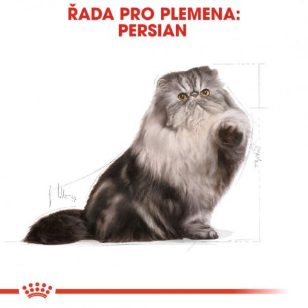 Royal Canin Persian 2 kg