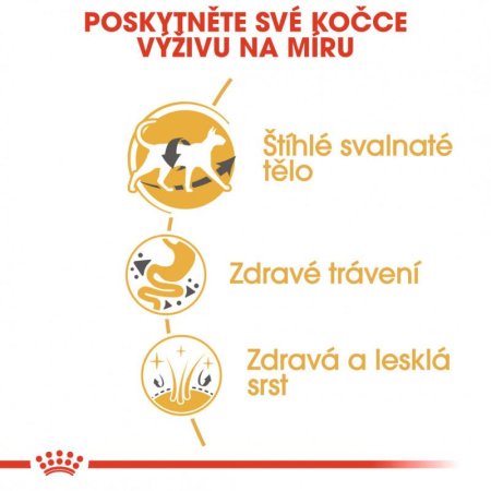 Royal Canin Siamese 2 kg