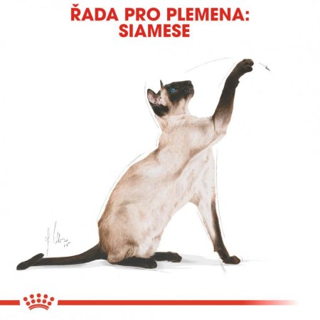 Royal Canin Siamese 10 kg