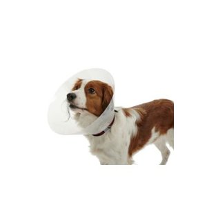 Límec ochranný BUSTER plastový Classic Collar 30cm