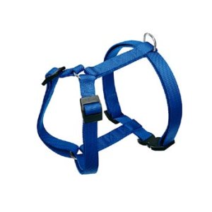 Postroj CHAMPION P S modrá FP 1ks