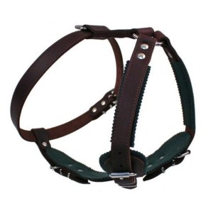 PROFIZOO Kožený postroj JAGO č.2 (25 mm x OK 60-80 cm, OH 81-95 cm) hnědá