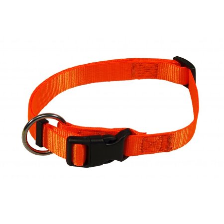 PROFIZOO Obojek Neon (15mm x 30-50cm) oranžová