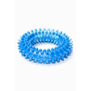 Hračka pes Kruh s bodlinami plovací 14cm SP