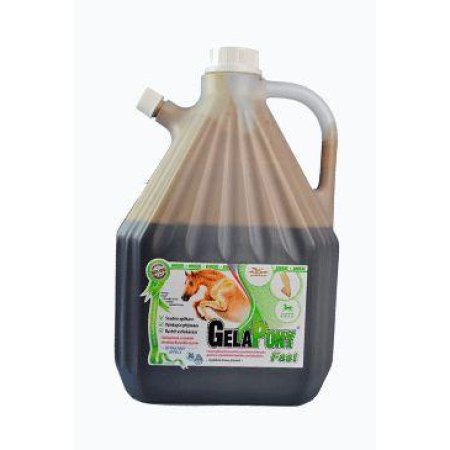 Gelapony Fast Biosol 3000ml