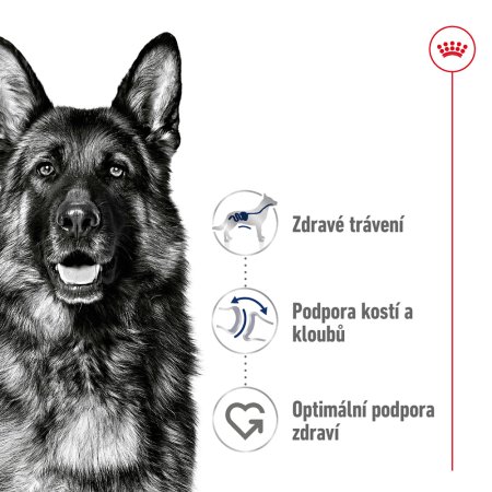 Royal Canin Maxi Adult 15 kg