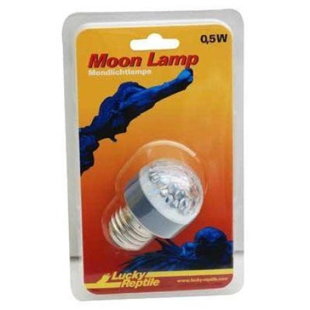 Lucky Reptile Moon Lamp