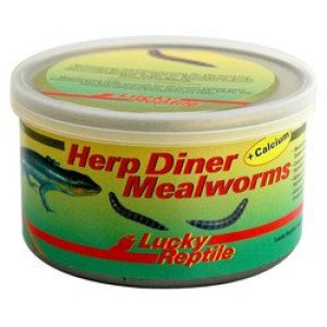 Lucky Reptile Herp Diner - mouční červi 35g Mouční červi 35g