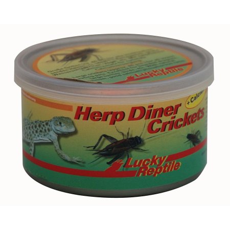 Lucky Reptile Herp Diner - cvrčci 35g - velcí