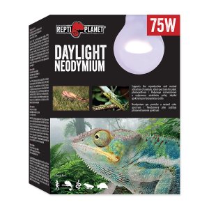 Žárovka REPTI PLANET Daylight Neodymium 75 W