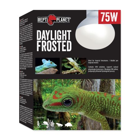 Žárovka REPTI PLANET Daylight Frosted 75 W