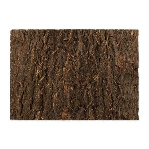 Pozadí REPTI PLANET korek přírodní 58,5 x 41 x 2 cm