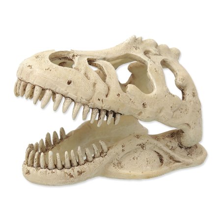 Dekorace REPTI PLANET T-REX lebka 13,3 cm