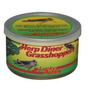 Lucky Reptile Herp Diner - sarančata 35g cca 20 velkých