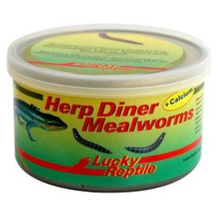 Lucky Reptile Herp Diner - mouční červi 35g Mouční červi mini 35g