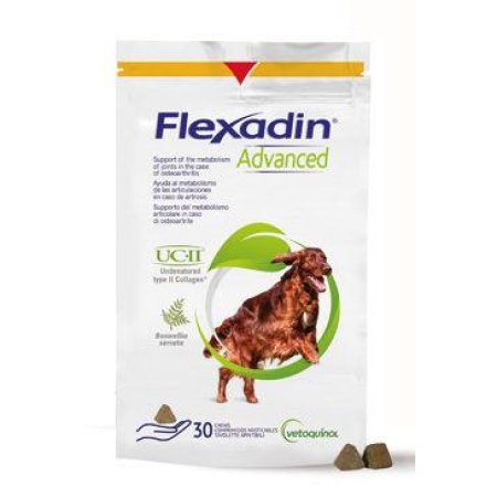 Flexadin Advanced 30tbl