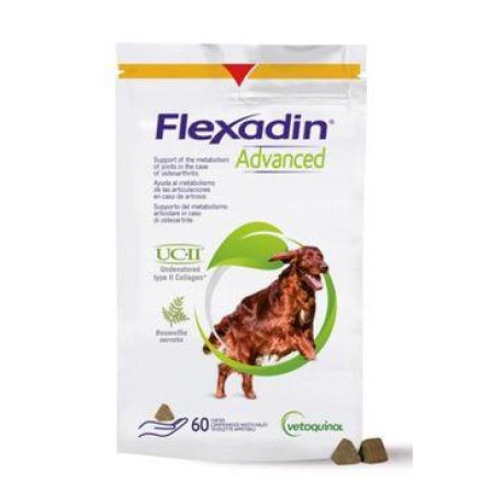 Flexadin Advanced 60tbl