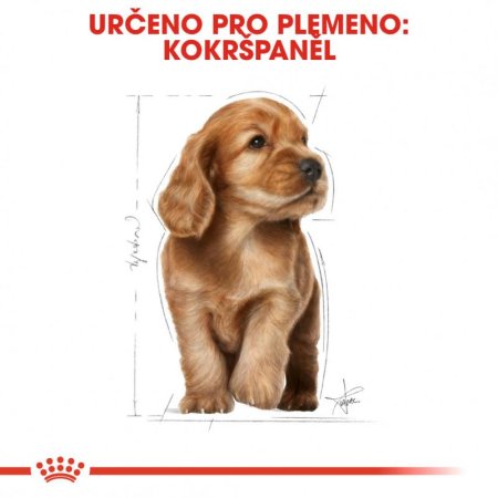 Royal Canin Cocker Puppy 3 kg