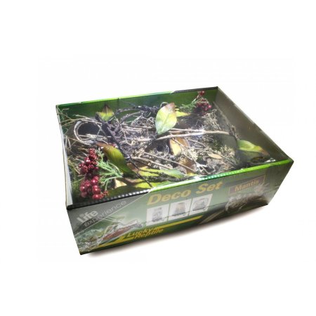 Lucky Reptile Deco Set Jungle