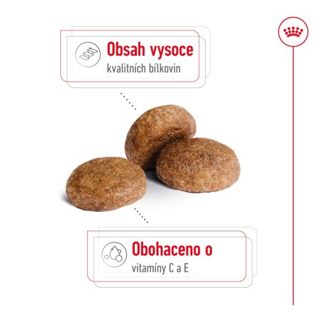 Royal Canin Medium Adult 7+ 15 kg