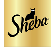 sheba