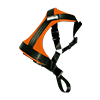 Bezpečnostní postroje a pásy pro psy