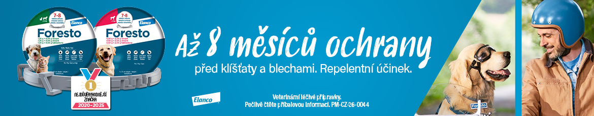 Foresto - homepage